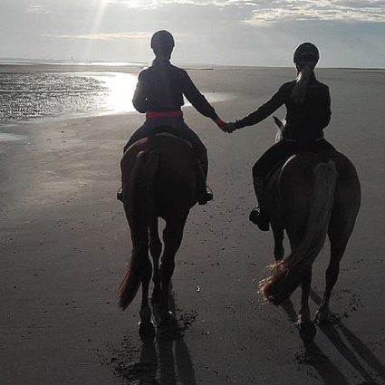 Reiten